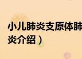 小儿肺炎支原体肺炎（关于小儿肺炎支原体肺炎介绍）