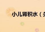 小儿肾积水（关于小儿肾积水介绍）