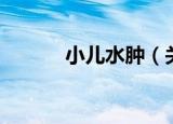 小儿水肿（关于小儿水肿介绍）