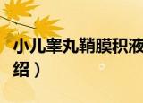小儿睾丸鞘膜积液（关于小儿睾丸鞘膜积液介绍）