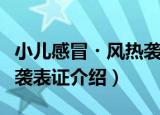 小儿感冒・风热袭表证（关于小儿感冒・风热袭表证介绍）