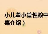 小儿肾小管性酸中毒（关于小儿肾小管性酸中毒介绍）