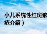 小儿系统性红斑狼疮（关于小儿系统性红斑狼疮介绍）