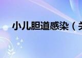 小儿胆道感染（关于小儿胆道感染介绍）