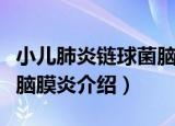 小儿肺炎链球菌脑膜炎（关于小儿肺炎链球菌脑膜炎介绍）