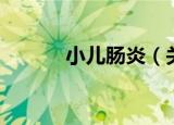小儿肠炎（关于小儿肠炎介绍）