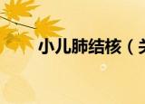 小儿肺结核（关于小儿肺结核介绍）