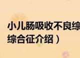 小儿肠吸收不良综合征（关于小儿肠吸收不良综合征介绍）