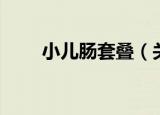 小儿肠套叠（关于小儿肠套叠介绍）