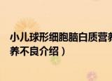 小儿球形细胞脑白质营养不良（关于小儿球形细胞脑白质营养不良介绍）