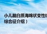 小儿脑白质海绵状变性综合征（关于小儿脑白质海绵状变性综合征介绍）