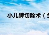 小儿脾切除术（关于小儿脾切除术介绍）