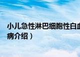 小儿急性淋巴细胞性白血病（关于小儿急性淋巴细胞性白血病介绍）