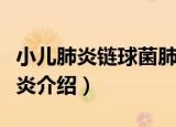小儿肺炎链球菌肺炎（关于小儿肺炎链球菌肺炎介绍）
