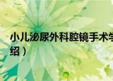 小儿泌尿外科腔镜手术学（关于小儿泌尿外科腔镜手术学介绍）