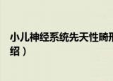 小儿神经系统先天性畸形（关于小儿神经系统先天性畸形介绍）