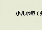 小儿水痘（关于小儿水痘介绍）