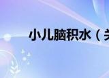 小儿脑积水（关于小儿脑积水介绍）