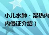小儿水肿・湿热内侵证（关于小儿水肿・湿热内侵证介绍）