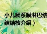 小儿肠系膜淋巴结结核（关于小儿肠系膜淋巴结结核介绍）