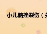 小儿脑挫裂伤（关于小儿脑挫裂伤介绍）