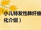 小儿特发性肺纤维化（关于小儿特发性肺纤维化介绍）