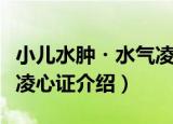 小儿水肿・水气凌心证（关于小儿水肿・水气凌心证介绍）