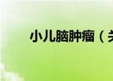 小儿脑肿瘤（关于小儿脑肿瘤介绍）