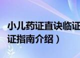 小儿药证直诀临证指南（关于小儿药证直诀临证指南介绍）
