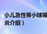 小儿急性肾小球肾炎（关于小儿急性肾小球肾炎介绍）