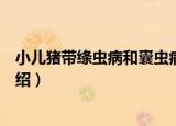 小儿猪带绦虫病和囊虫病（关于小儿猪带绦虫病和囊虫病介绍）