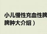 小儿慢性充血性脾肿大（关于小儿慢性充血性脾肿大介绍）