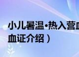 小儿暑温·热入营血证（关于小儿暑温·热入营血证介绍）