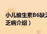 小儿维生素B6缺乏病（关于小儿维生素B6缺乏病介绍）