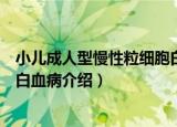 小儿成人型慢性粒细胞白血病（关于小儿成人型慢性粒细胞白血病介绍）