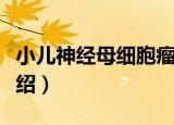 小儿神经母细胞瘤（关于小儿神经母细胞瘤介绍）