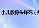小儿股骨头坏死（关于小儿股骨头坏死介绍）