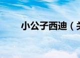 小公子西迪（关于小公子西迪介绍）