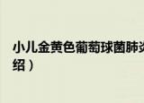 小儿金黄色葡萄球菌肺炎（关于小儿金黄色葡萄球菌肺炎介绍）