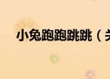 小兔跑跑跳跳（关于小兔跑跑跳跳介绍）