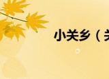 小关乡（关于小关乡介绍）