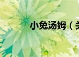 小兔汤姆（关于小兔汤姆介绍）