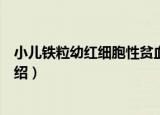 小儿铁粒幼红细胞性贫血（关于小儿铁粒幼红细胞性贫血介绍）