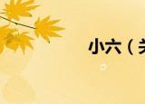 小六（关于小六介绍）