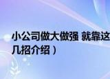 小公司做大做强 就靠这几招（关于小公司做大做强 就靠这几招介绍）