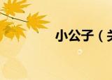 小公子（关于小公子介绍）