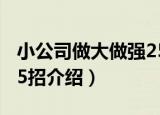 小公司做大做强25招（关于小公司做大做强25招介绍）