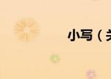 小写（关于小写介绍）