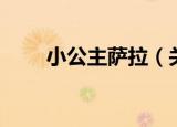 小公主萨拉（关于小公主萨拉介绍）