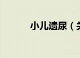 小儿遗尿（关于小儿遗尿介绍）